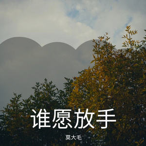 谁愿放手