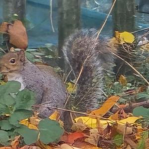 12 rules don't spend money