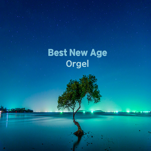 Poppoya (철도원 OST) (오르골)