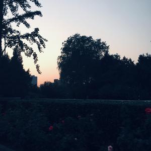 梦醒20.7.12
