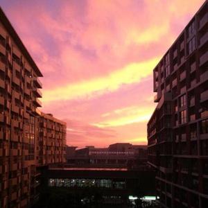 【古筝】落霞云归 wav