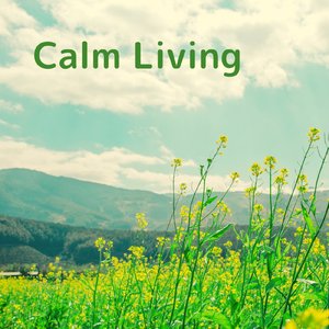 ロマンスとプレリュード