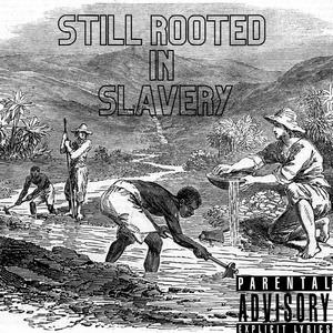 Still Rooted In Slavery