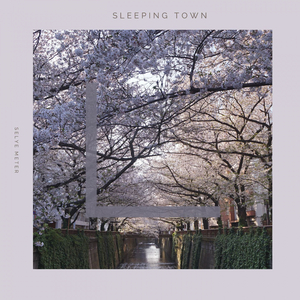 Sleeping Town