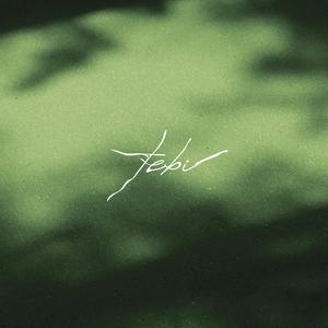Tebi