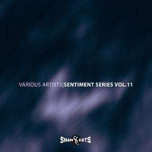 Shout (Original Mix)