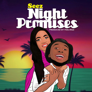 Night Promises