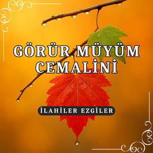 Görür Müyüm Cemalini