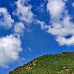 橘子汽水味的夏天