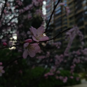 痛苦大于幸福的爱