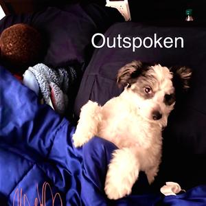 Outspoken