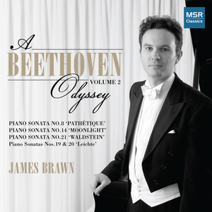 Piano Sonata No. 14 in C-Sharp Minor, Op. 27, No. 2 "Moonlight": I. Adagio sostenuto