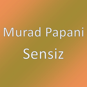 Sensiz