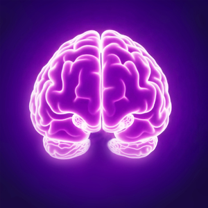 Boost de Productivité