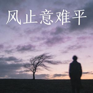 风止意难平