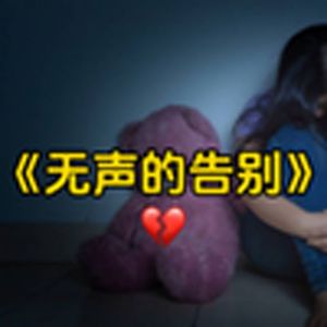 大型纪录片《无声的告别》