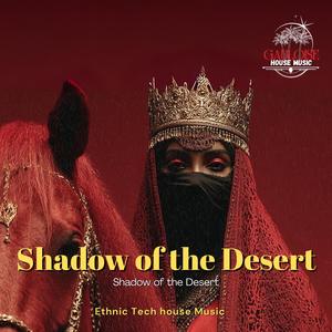 Shadow of the desert