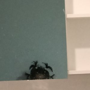 水刀（Prod by BECU BEATZ）