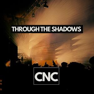 Through The Shadows