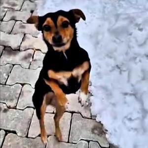 Hanimiş benim tatlışım