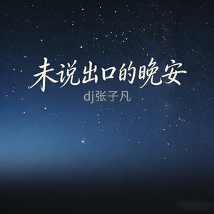 未说出口的晚安