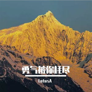 终究是冷落
