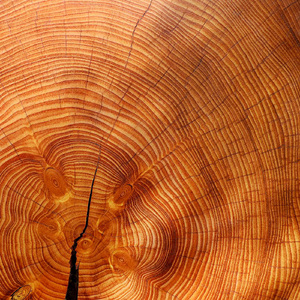 Calm Ocean Waves To Relax Your Mind