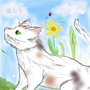温もり