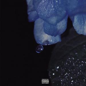 More (prod. Wavy_TC)