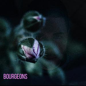 Bourgeons