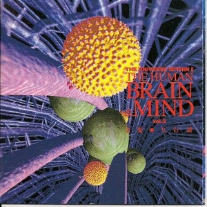 Process Of Evolution