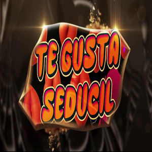 TE GUSTA SEDUCIL