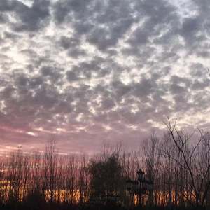 未（prod by Flowless）