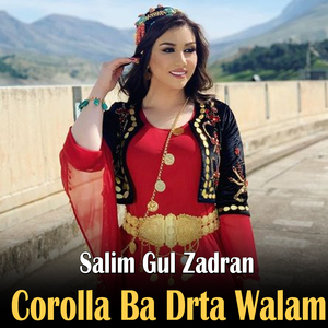 Raza Che Kale Ta Laer Sho