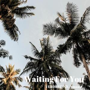 Waiting for You (feat. Amaas)
