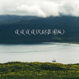 夜夜夜夜 (R&B氛围版)