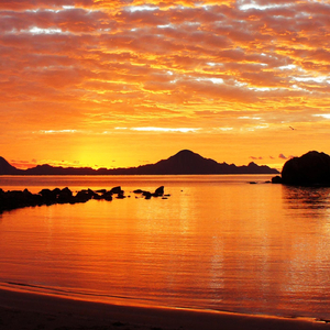 Flying Over the Island of Refuge in the Endless Ocean