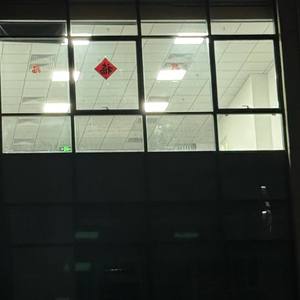 失落人生寻找自由