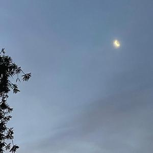 dreams (prod. neverforever)