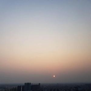 关于小熊