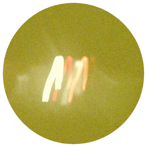 Søren (Original Mix)