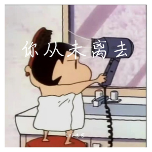 你从未离去