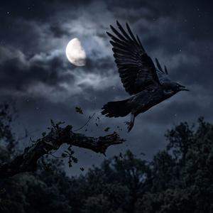 the flight of the crow