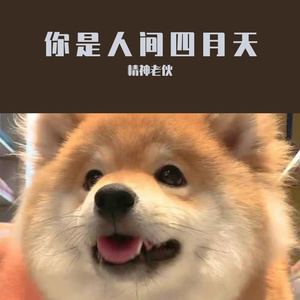 你是人间四月天