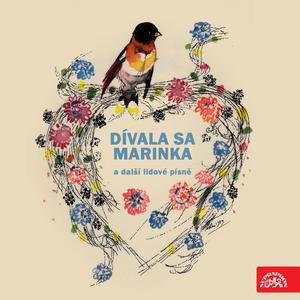 Husári, husári - Neumrem ja na poli