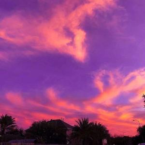 mmexport1609687530357