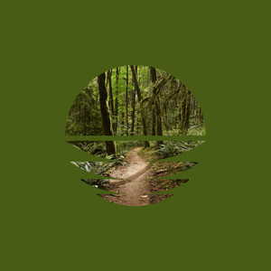 Forest Park Storm II