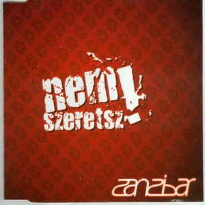 Nem szeretsz (album version)