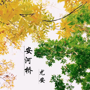 安河桥（Cover 宋冬野）