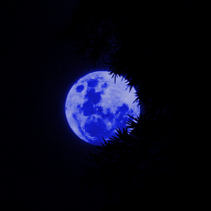 Moon